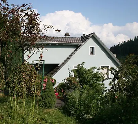 Ferienwohnung Am Altenberg Appartamento