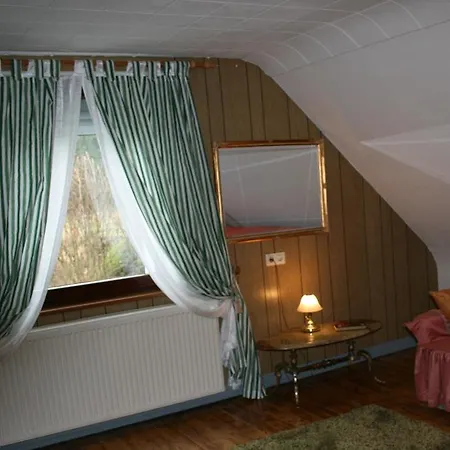 Ferienwohnung Am Altenberg Appartamento *
